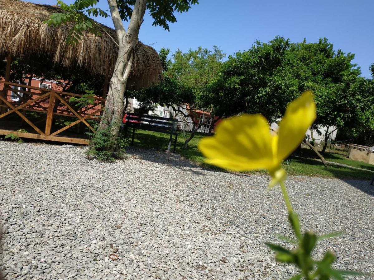 Kolkhi Guest House Gonio Dış mekan fotoğraf